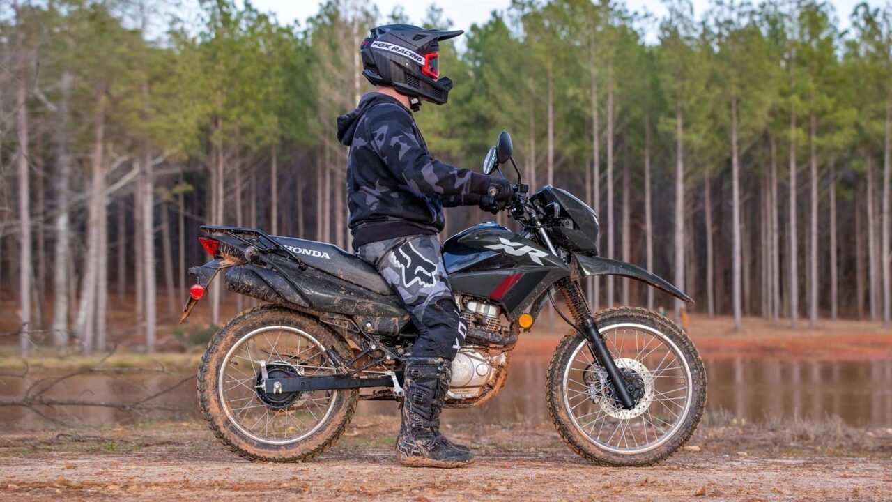 10 Dual-Sports That Combine Rugged Durability With Year-Round Usability