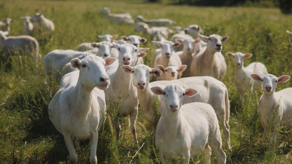 Why fashion needs to think about methane emissions