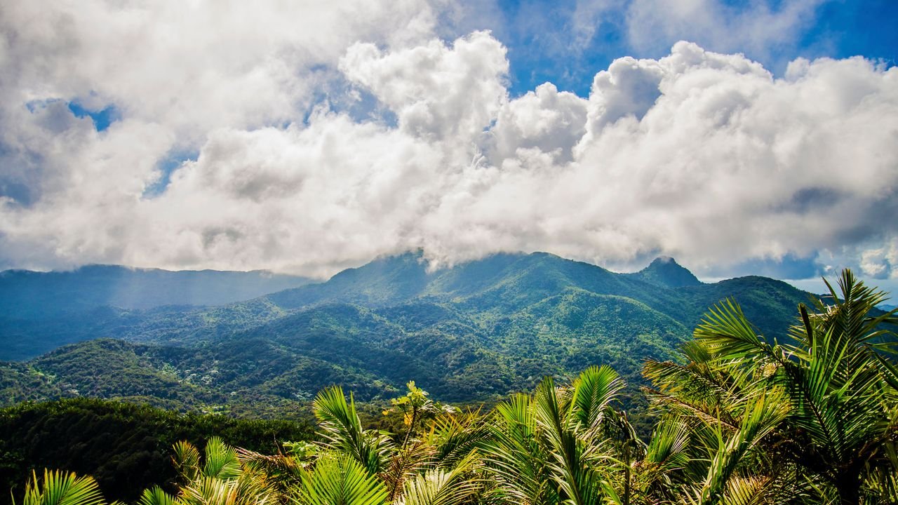 25 Ways to Fall in Love with Puerto Rico, From Rainforest Hikes to Bioluminescent Bays