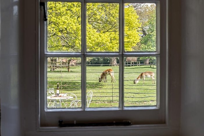 A Norfolk Safari, with a Plug
